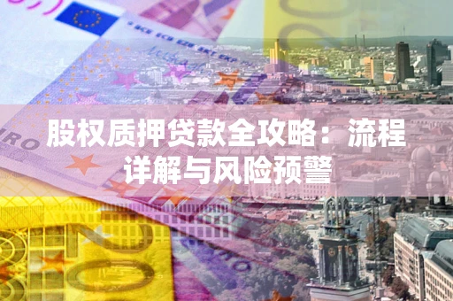 北京股权质押贷款全攻略：流程详解与风险预警